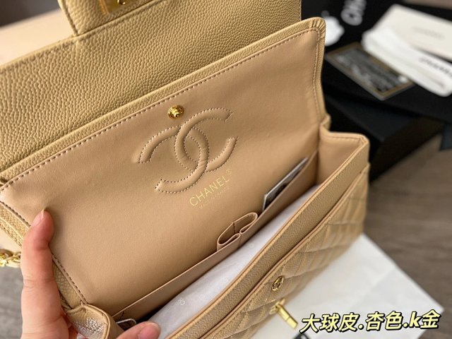 圖片_20241217171527