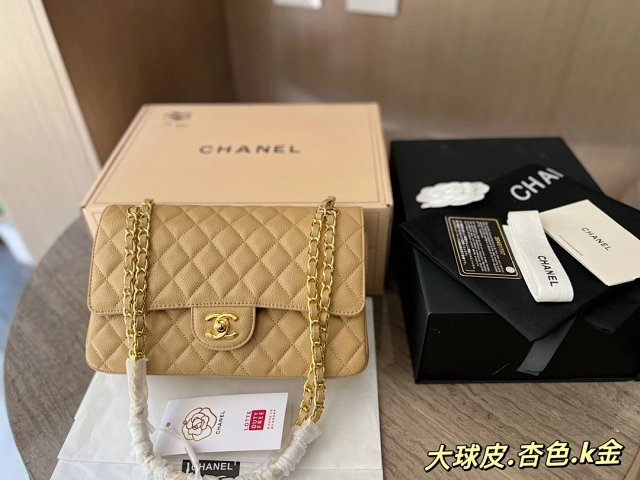 圖片_20241217171441