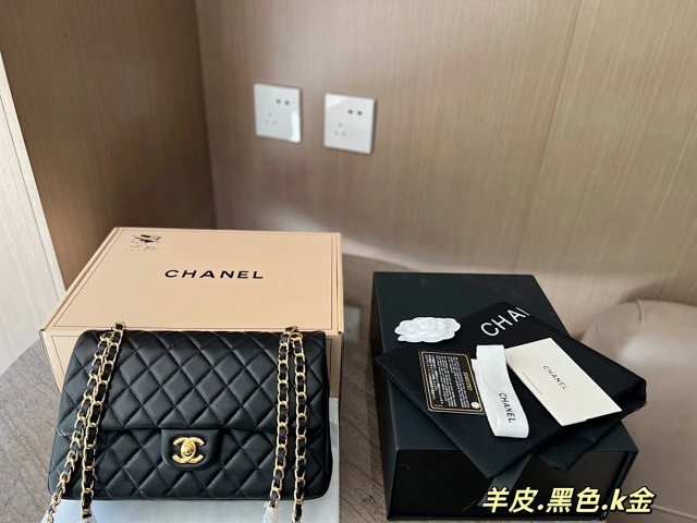 圖片_20241217171509