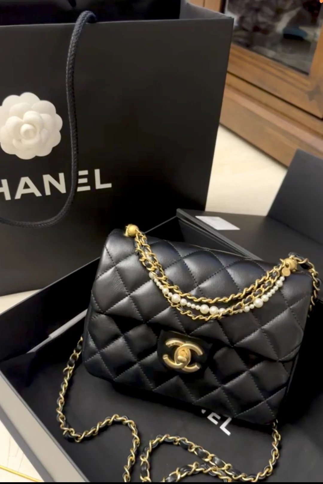 圖片_20241217222545