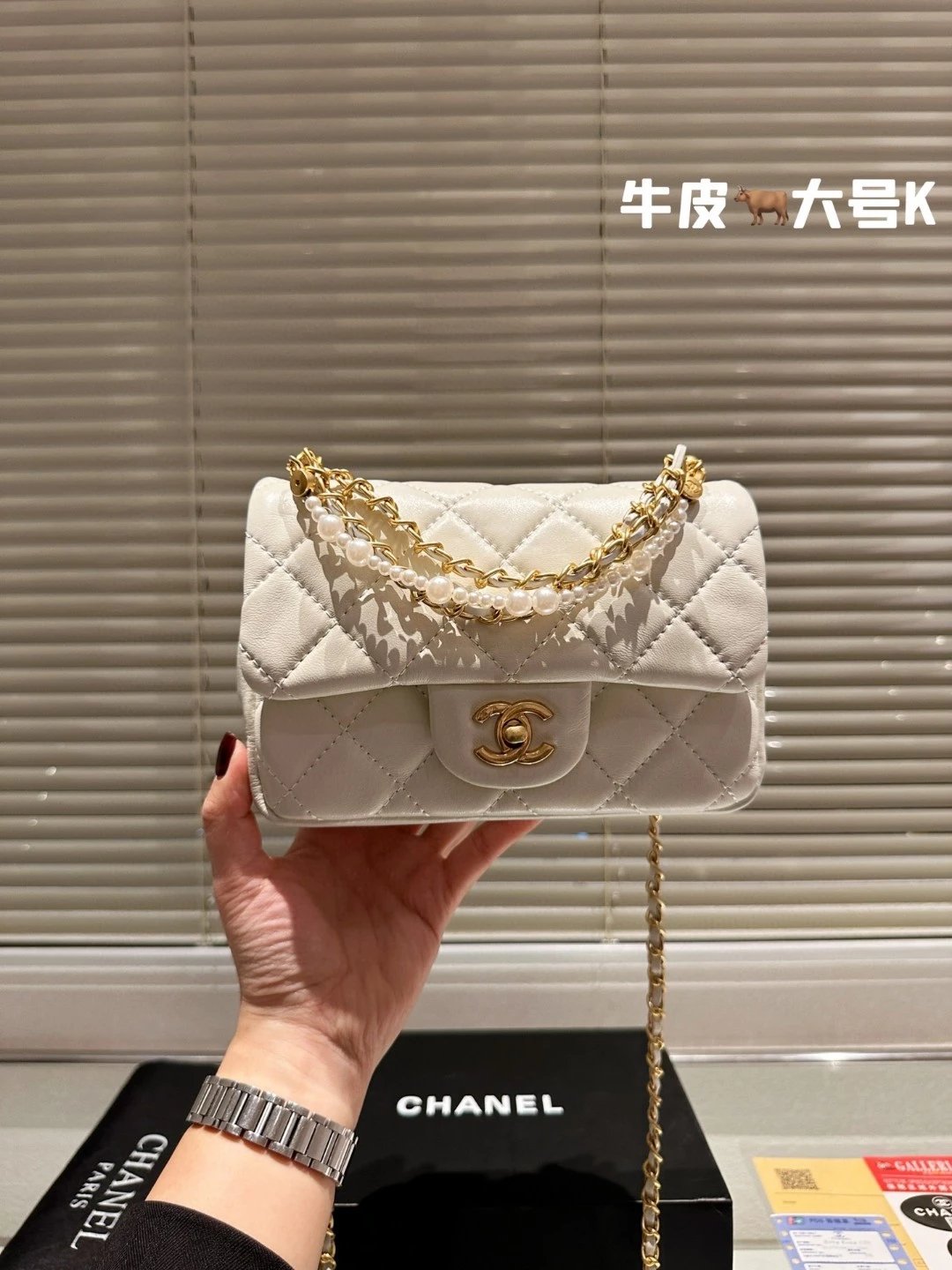 圖片_20241217222632