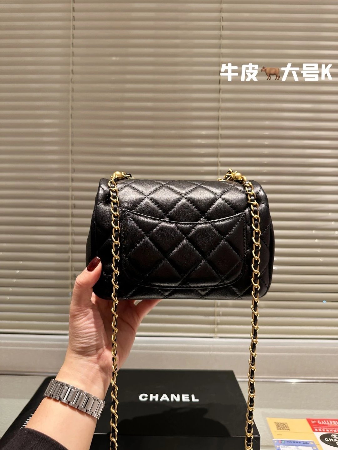 圖片_20241217222623