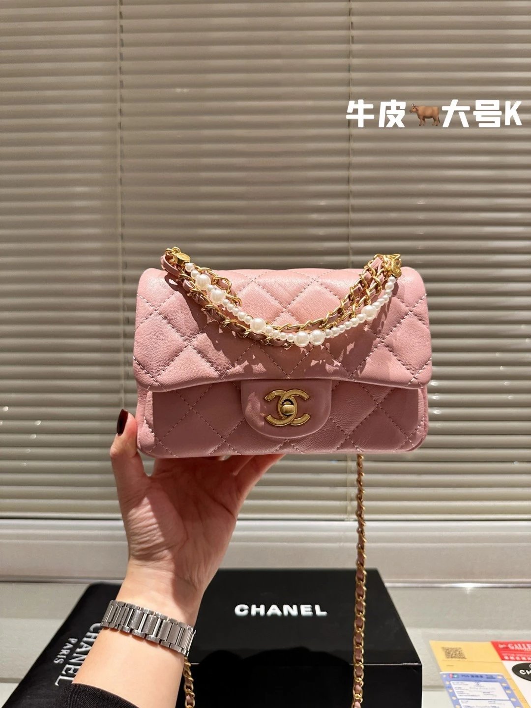 圖片_20241217222630