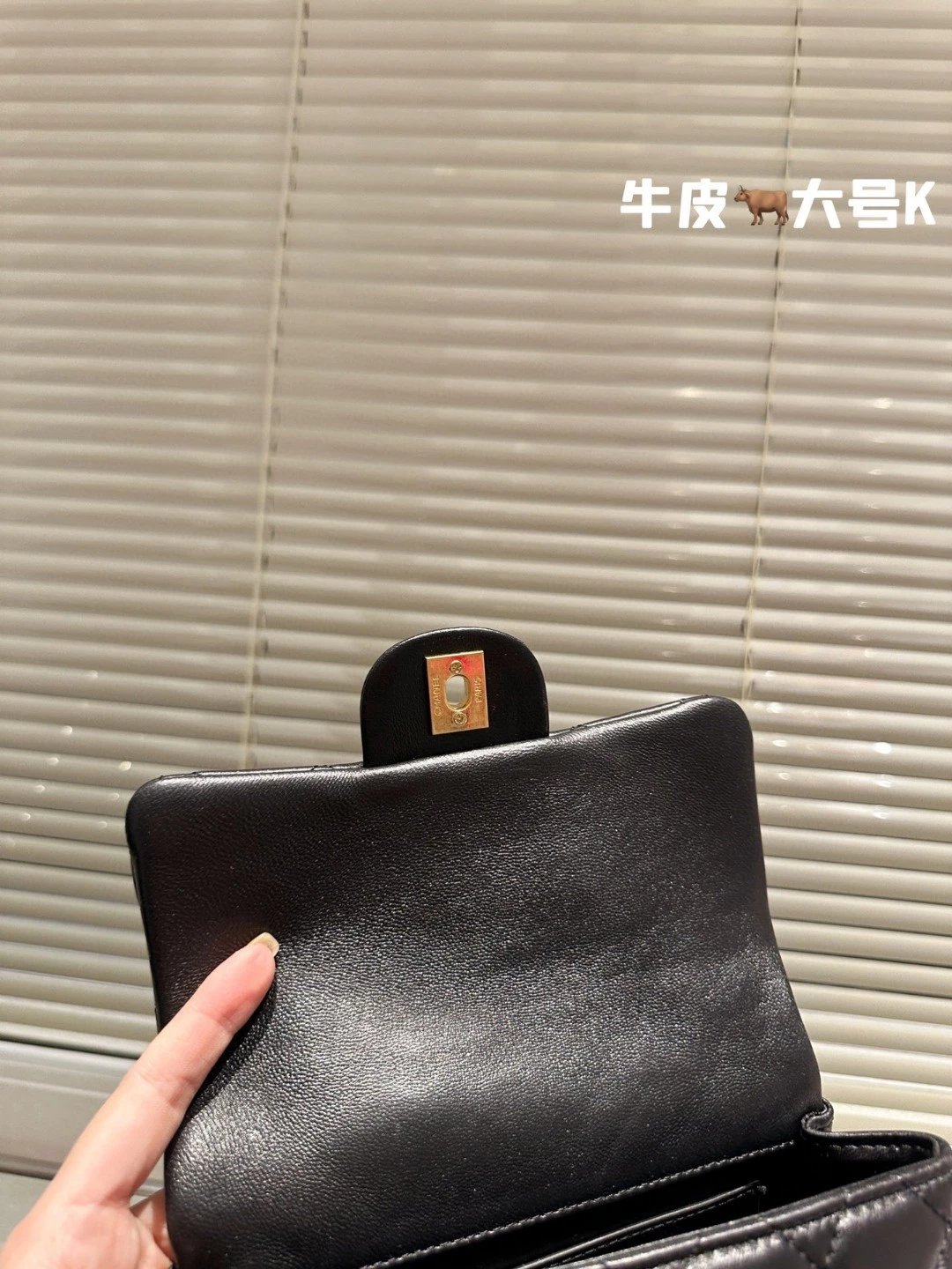 圖片_20241217222625