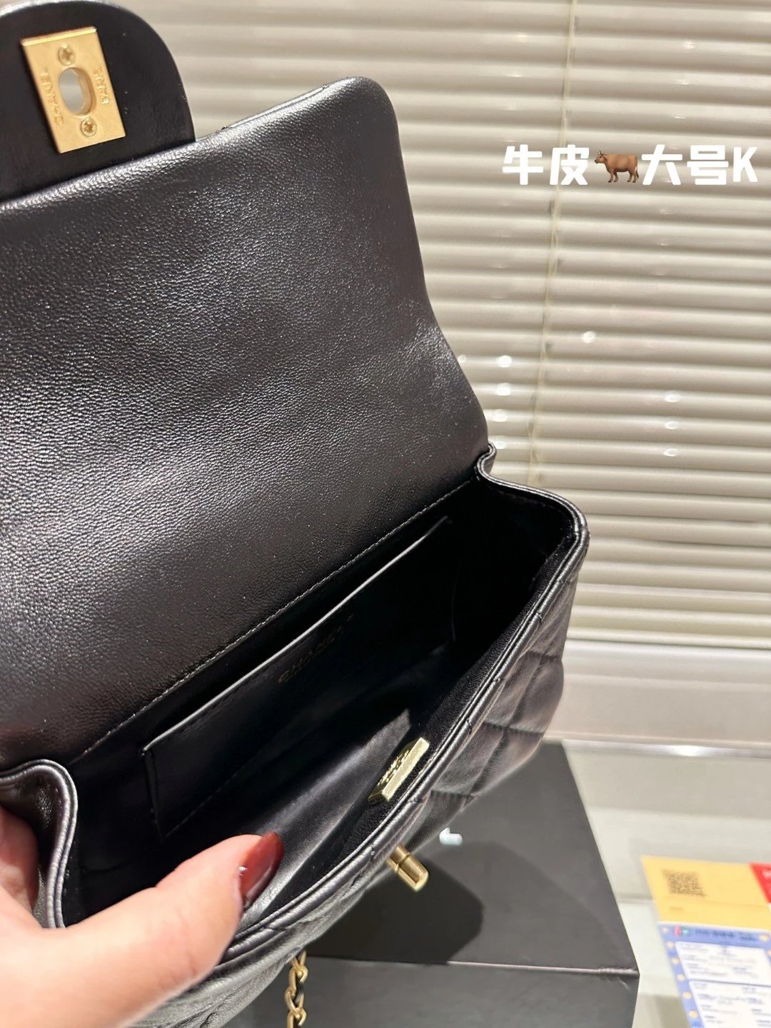 圖片_20241217222628