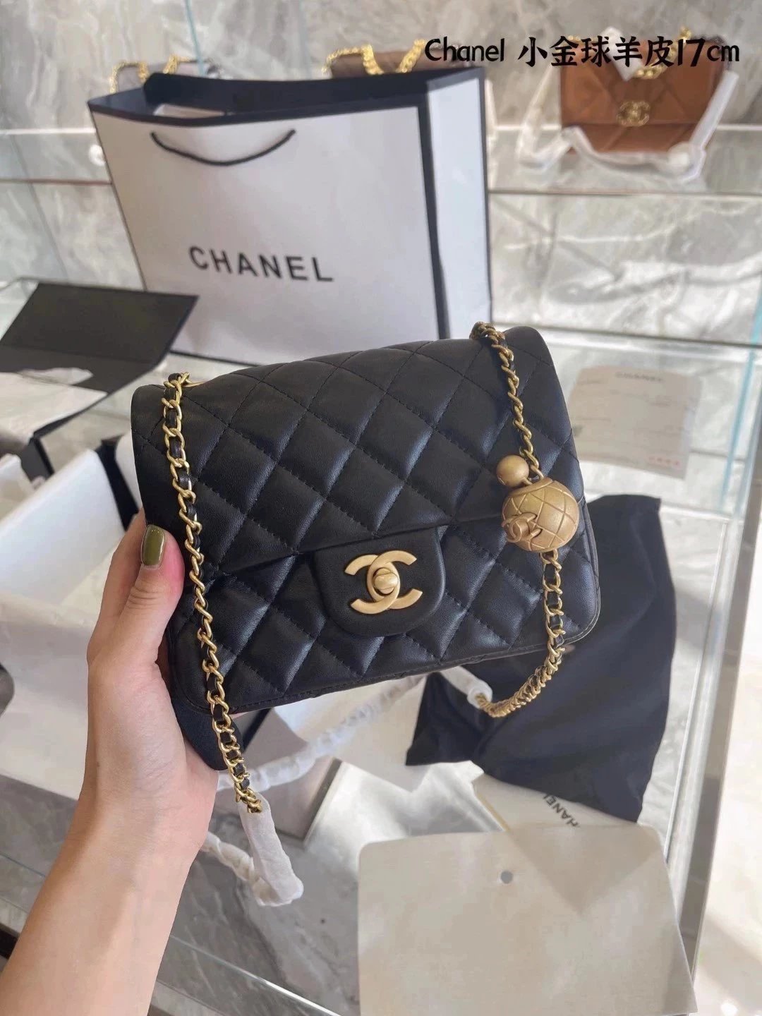 圖片_20241217232216