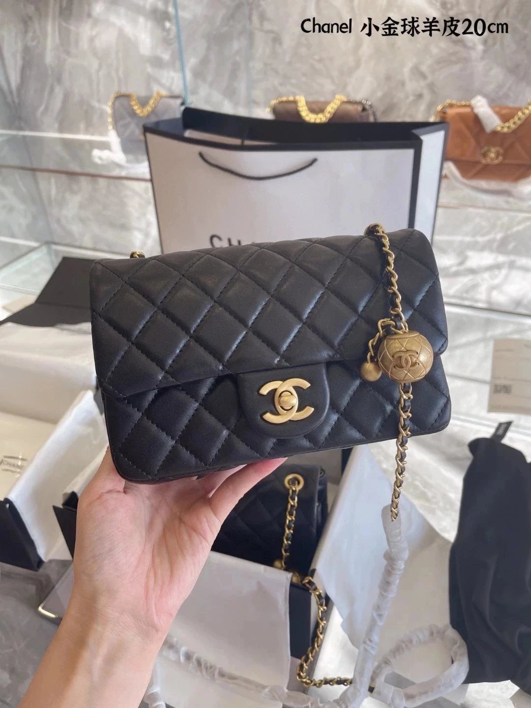 圖片_20241217232224