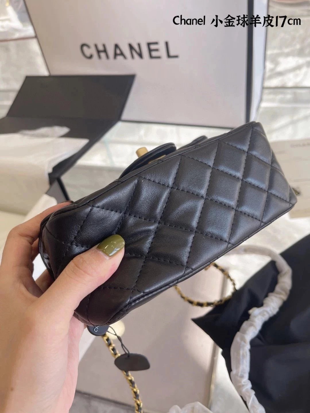 圖片_20241217232309