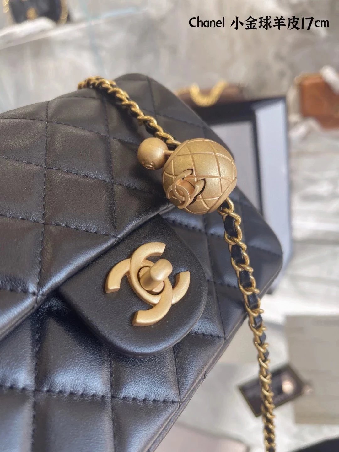 圖片_20241217232255