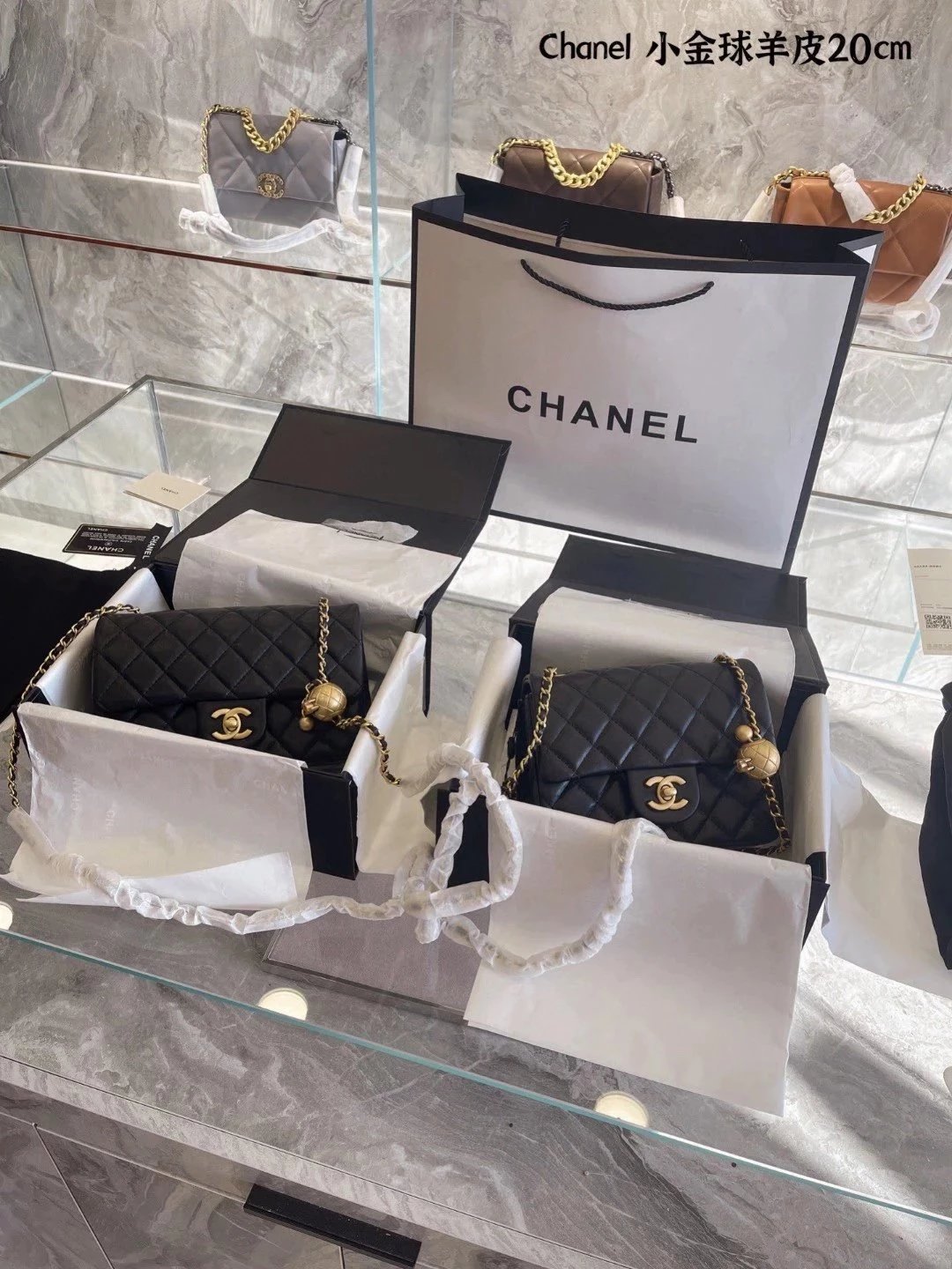 圖片_20241217232240