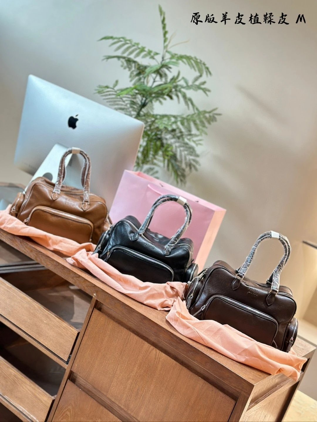 圖片_20241217235632