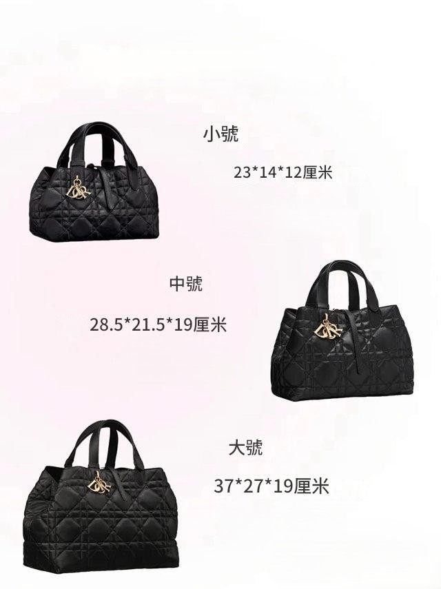 圖片_20241219012624