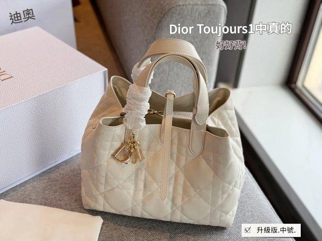 圖片_20241219012720