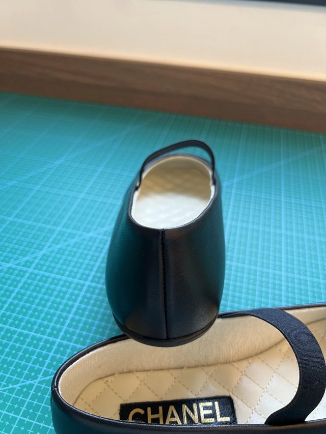 圖片_20241220194330