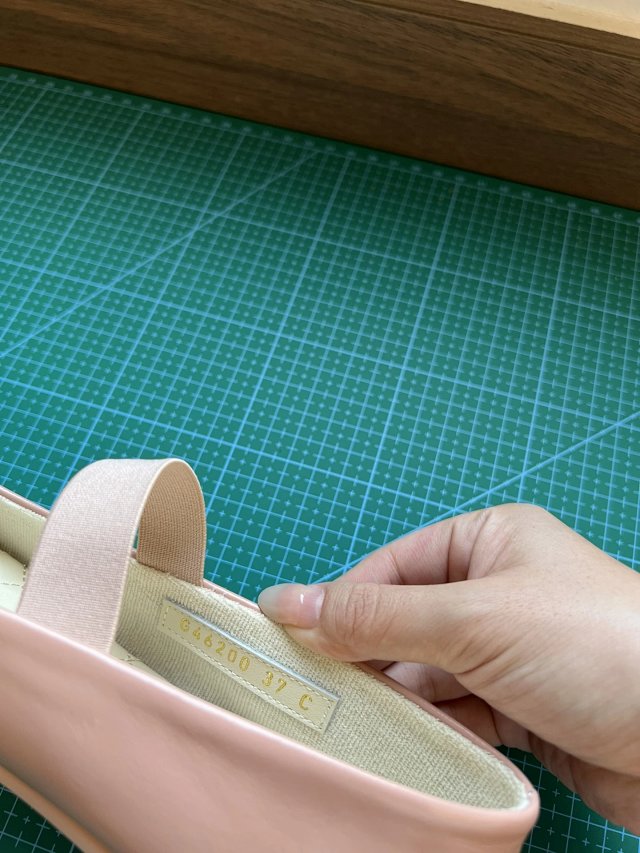 圖片_20241220194337