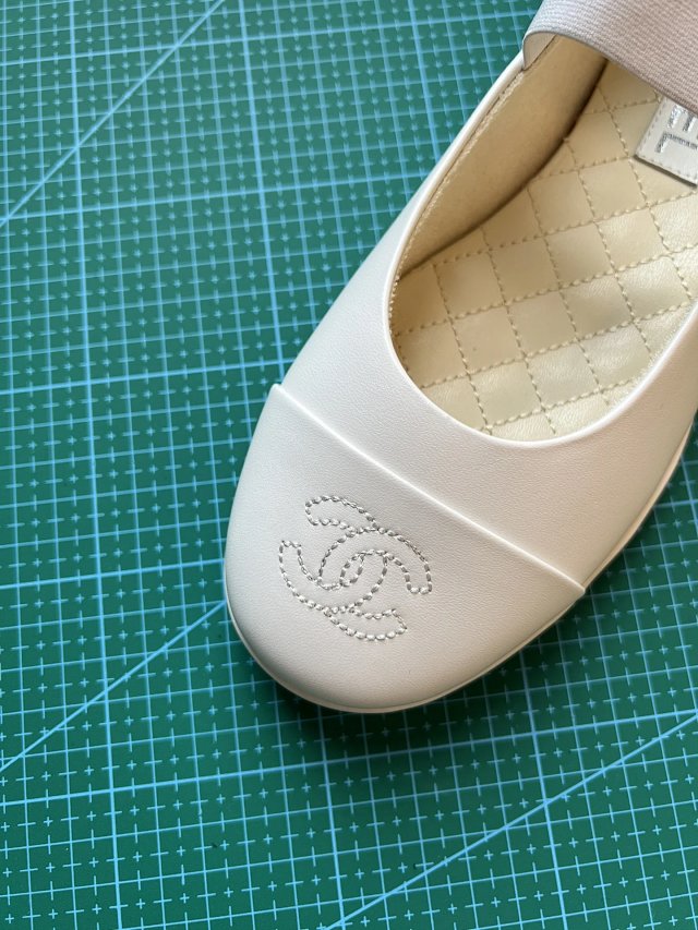 圖片_20241220194451