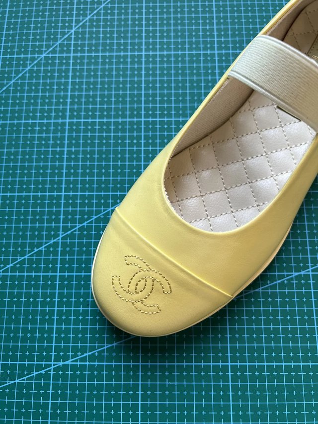 圖片_20241220194355