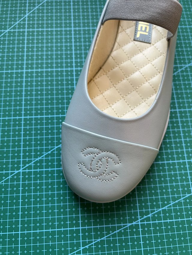 圖片_20241220194429