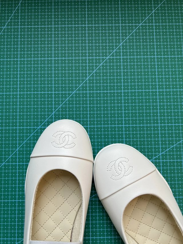 圖片_20241220194455