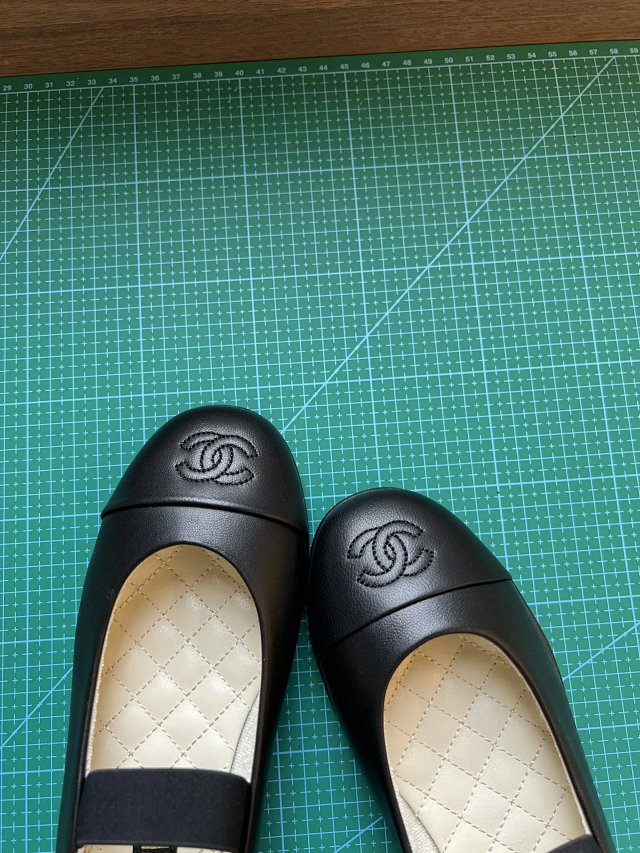 圖片_20241220194331