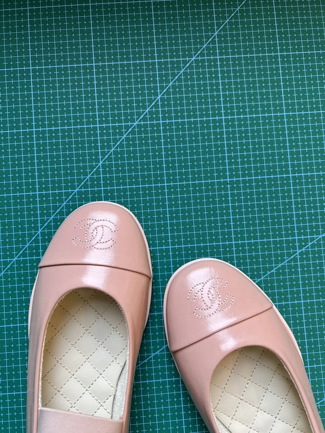 圖片_20241220194345