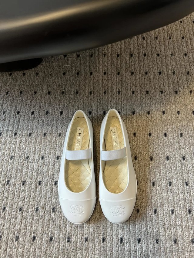 圖片_20241220194519