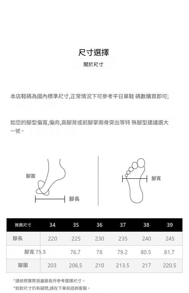 圖片_20241220194201