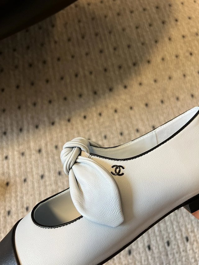 圖片_20241220195316