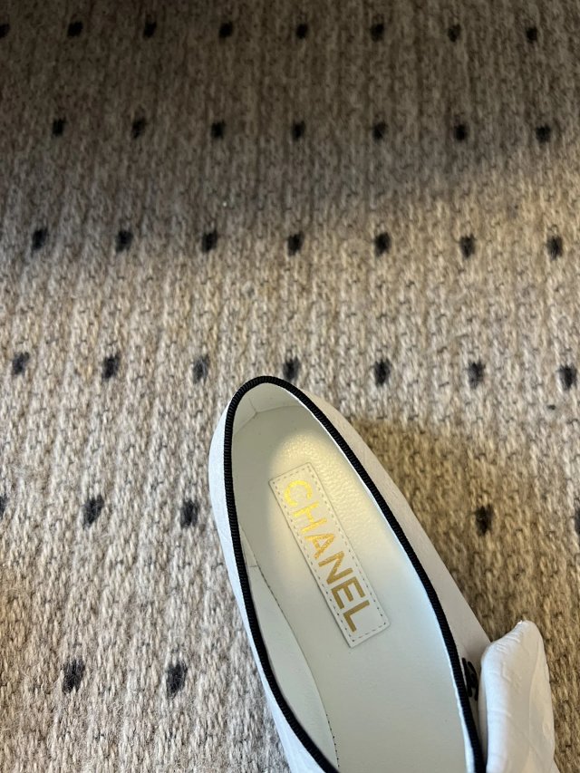 圖片_20241220195355