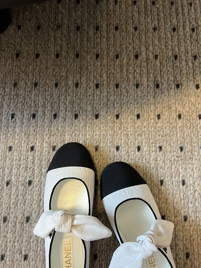 圖片_20241220195359