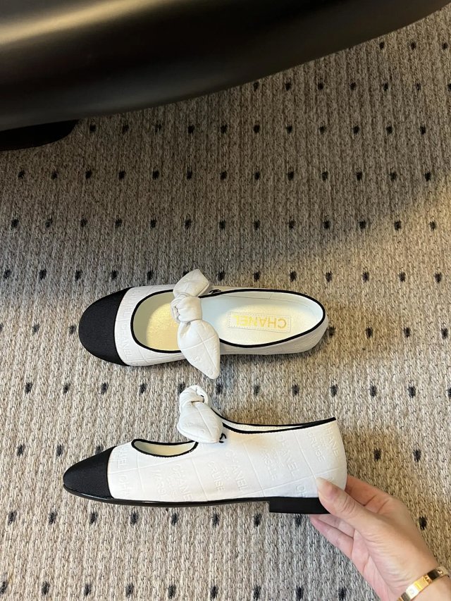 圖片_20241220195352