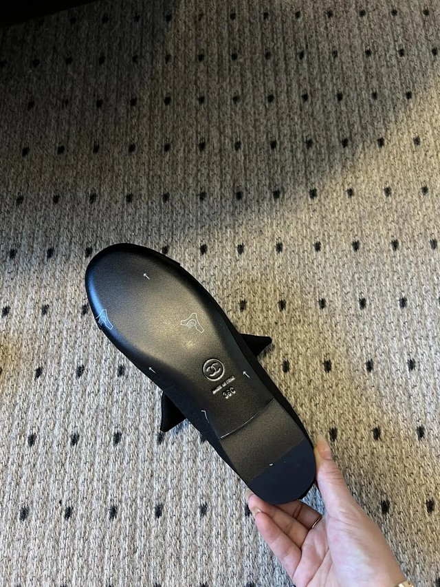 圖片_20241220195410