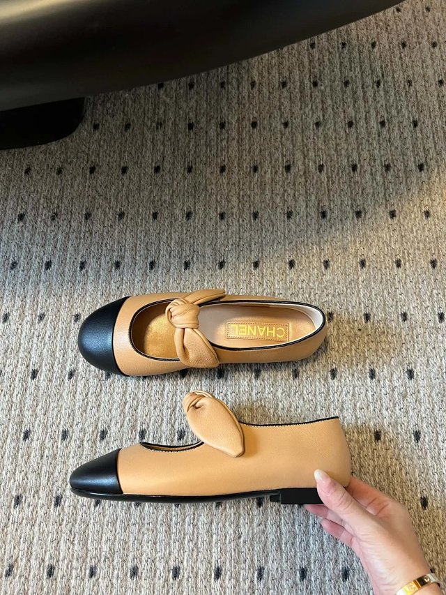 圖片_20241220195321