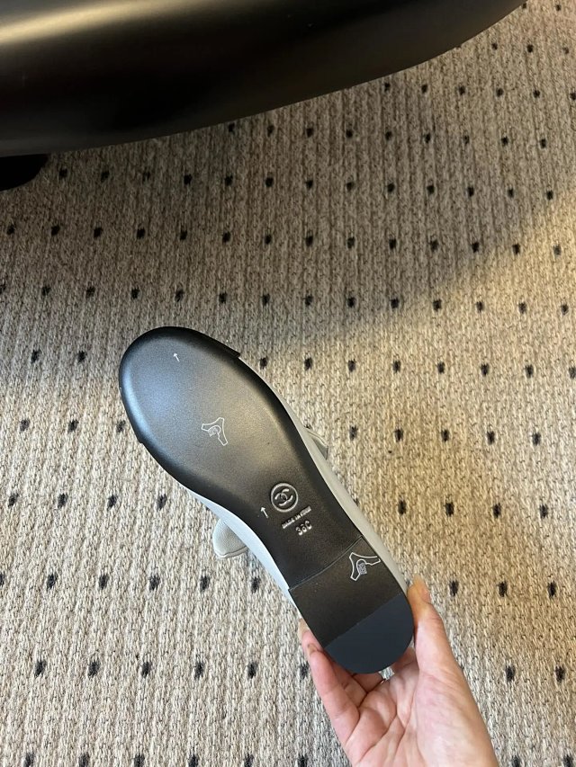 圖片_20241220195311