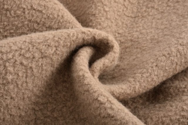 圖片_20241221233037