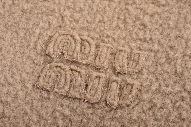 圖片_20241221233032