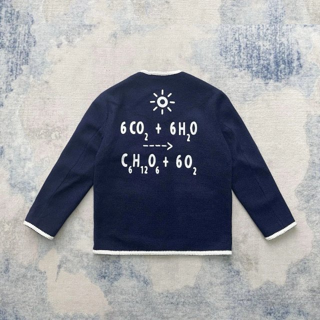 圖片_20241222000941