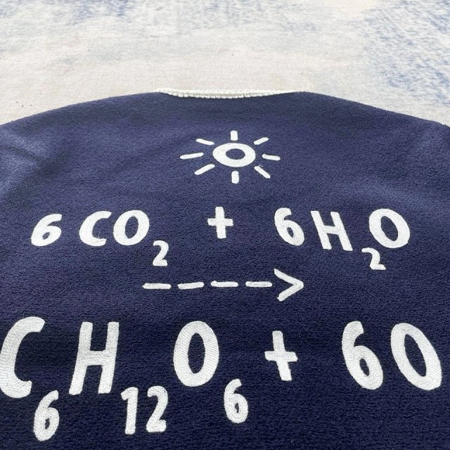 圖片_20241222000945