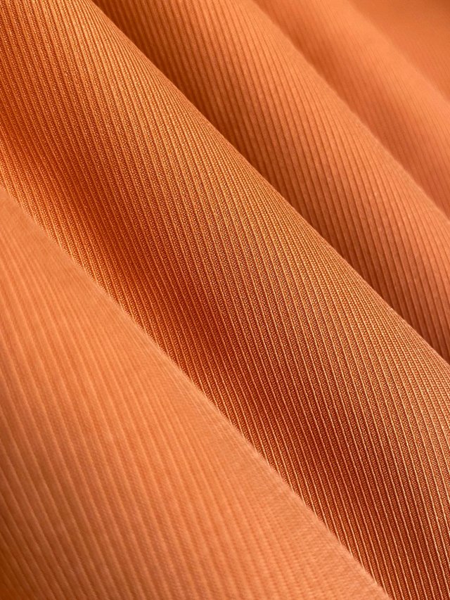 圖片_20241222015350