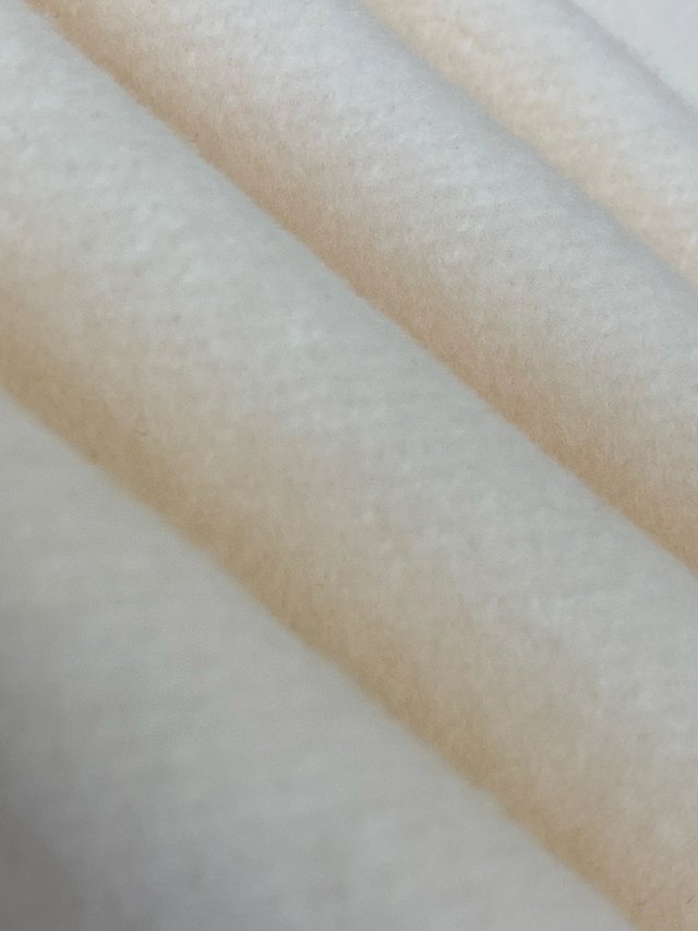 圖片_20241222143611