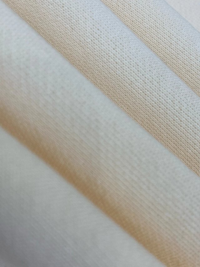 圖片_20241222143612