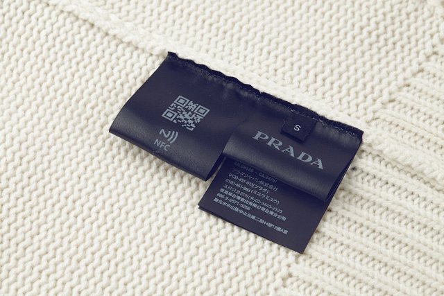 圖片_20241222180314