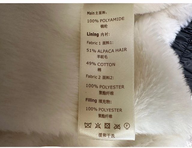 圖片_20241222182805