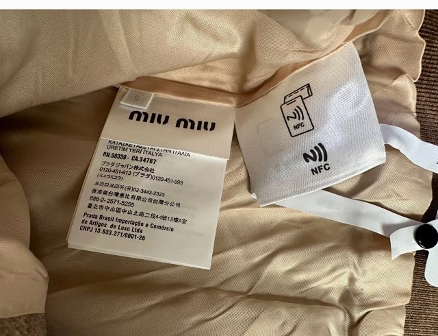 圖片_20241222183439