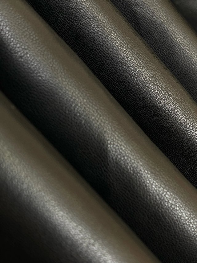 圖片_20241222184322