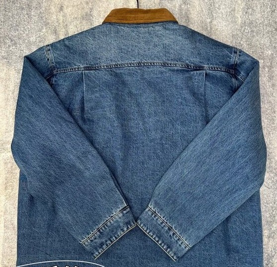 圖片_20241222190323