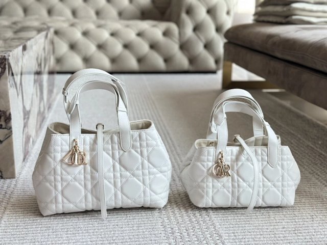 圖片_20241225225017