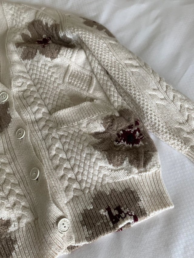 圖片_20241231004434