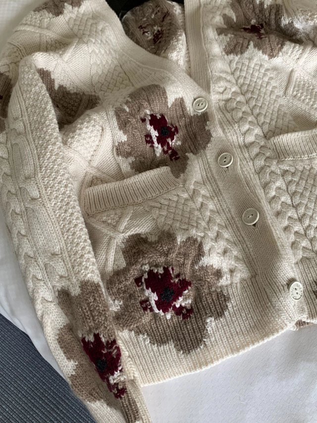 圖片_20241231004438