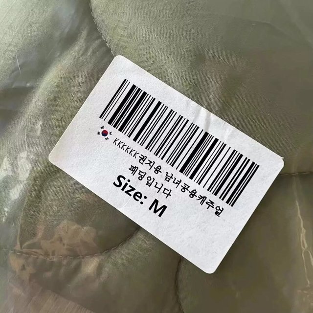 圖片_20241231010656